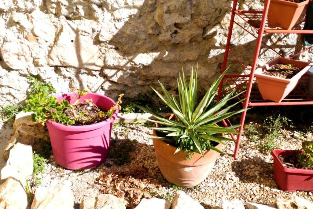 Le Loft Cosy - Centre Ville - Cadre Royal Σετ Εξωτερικό φωτογραφία